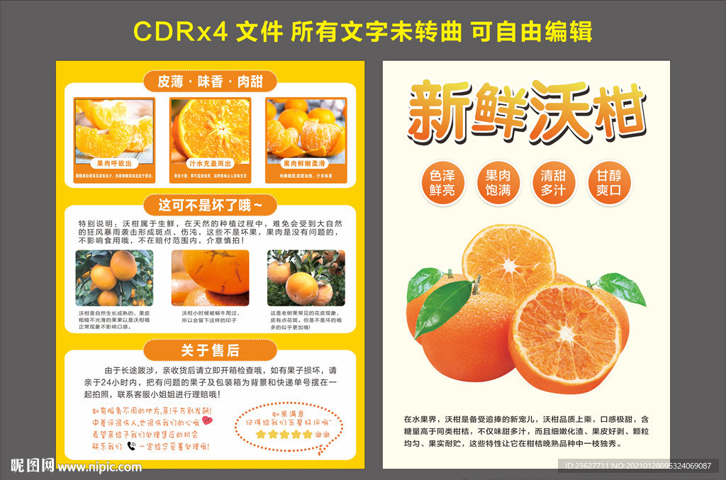 新鲜 沃柑 水果 快递单页
