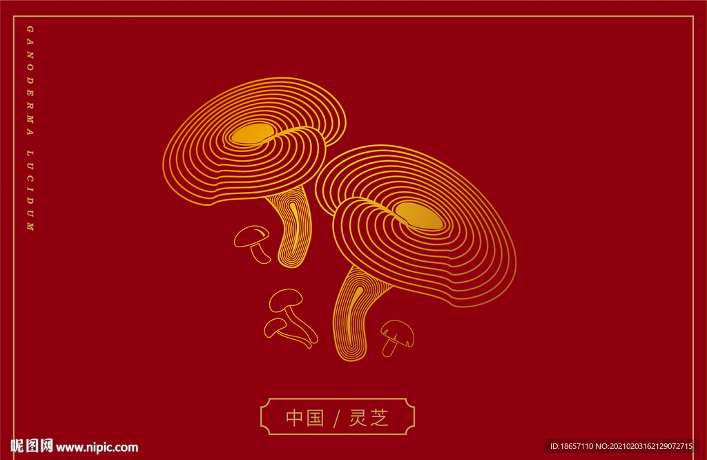 灵芝失量线描风格