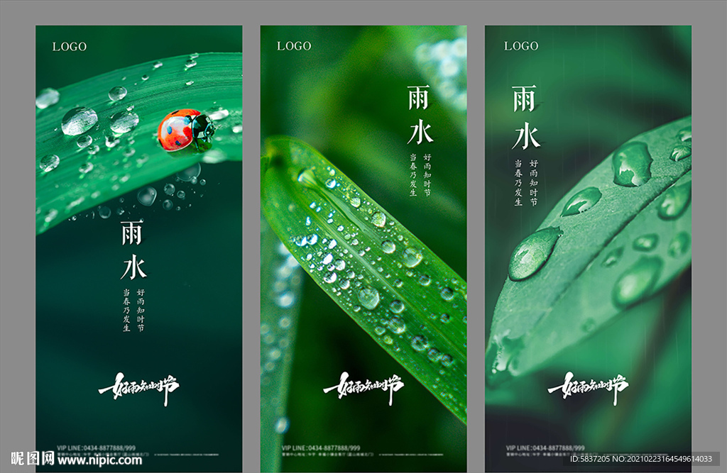 二十四节气 雨水