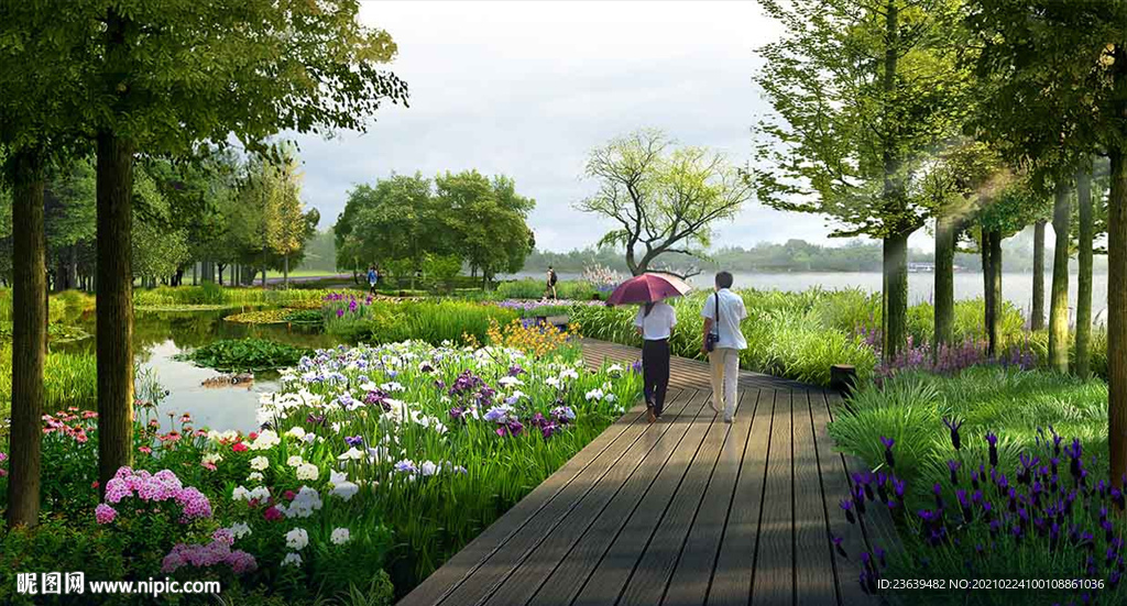 生态湿地景观效果图