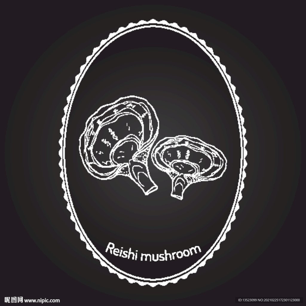 灵芝手绘 灵芝线描 灵芝插画