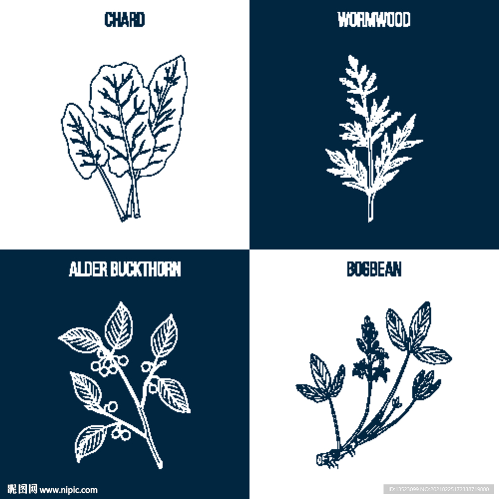 植物线描 中药手绘 草本插画