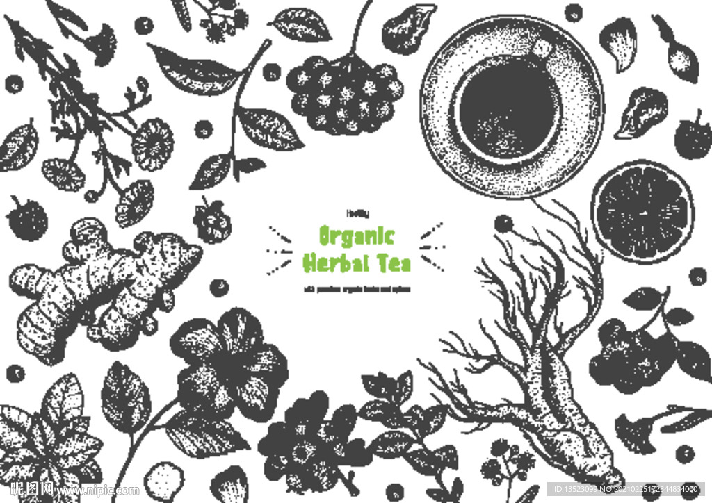 生姜手绘 人参插画 柠檬茶