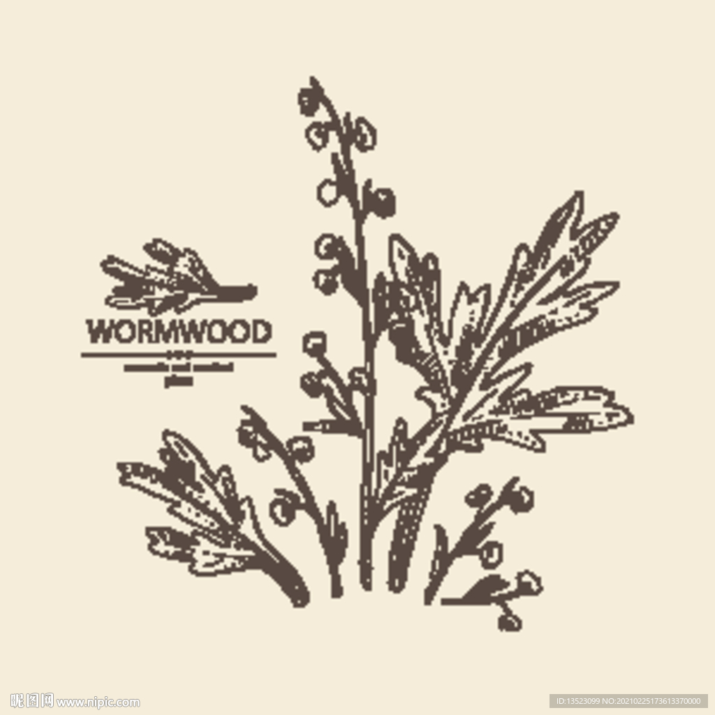 艾草手绘 艾蒿线描