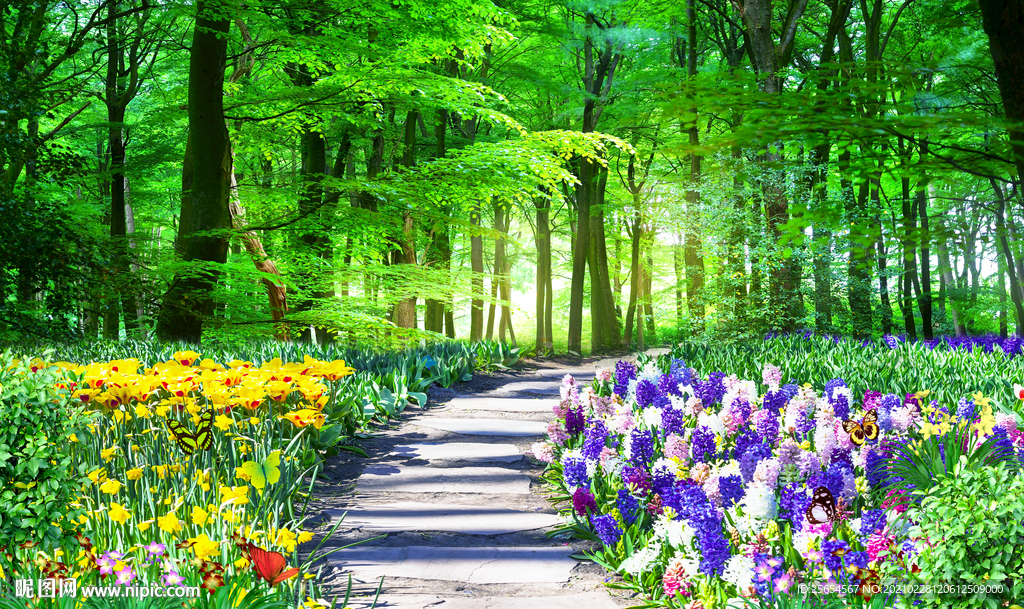 春天春季风景树林背景墙