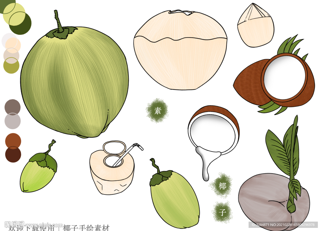 椰子手绘素材