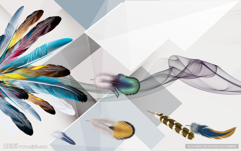 人气新款羽毛框画 TIF分层