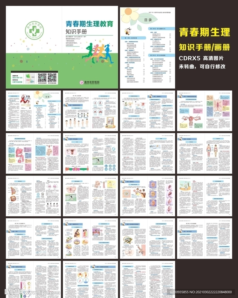 青春期生理知识手册