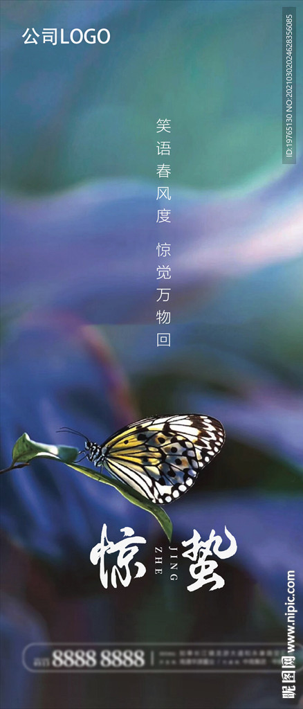 蝴蝶惊蛰海报