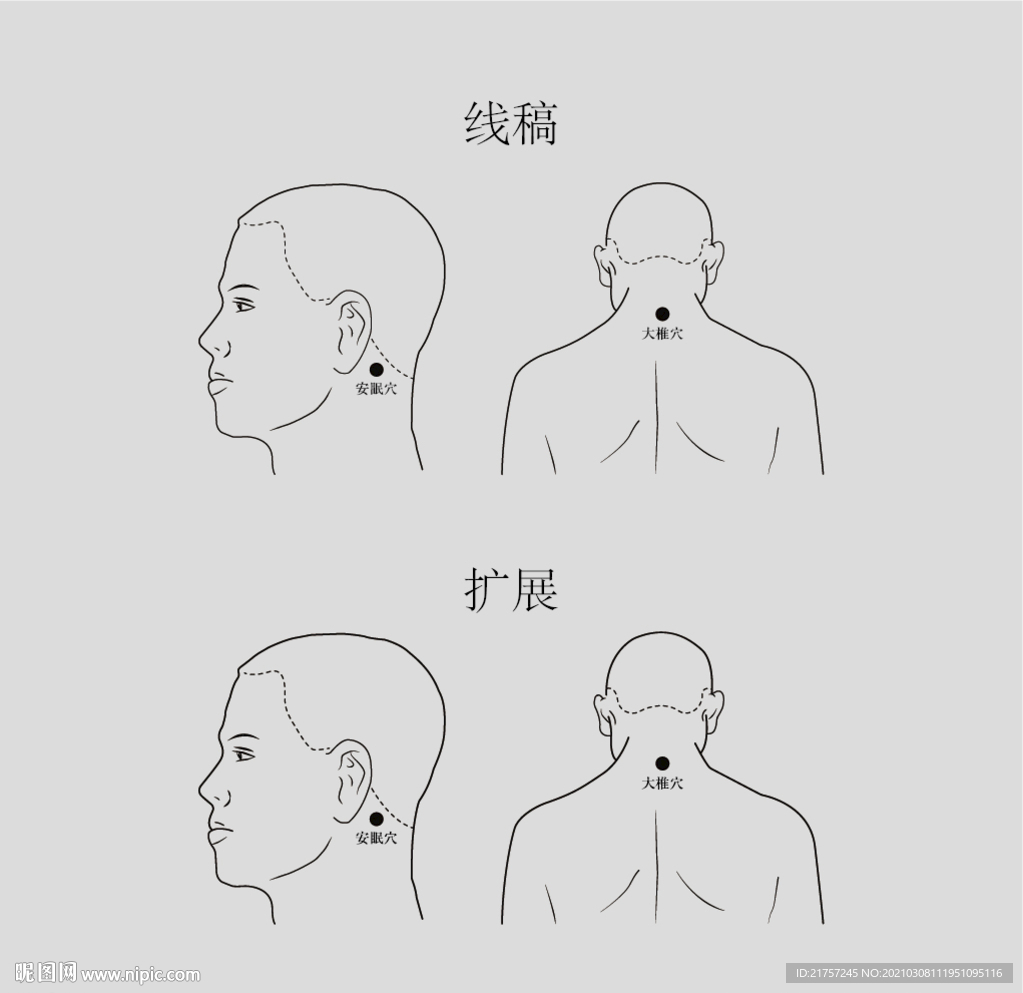 穴位矢量线稿图