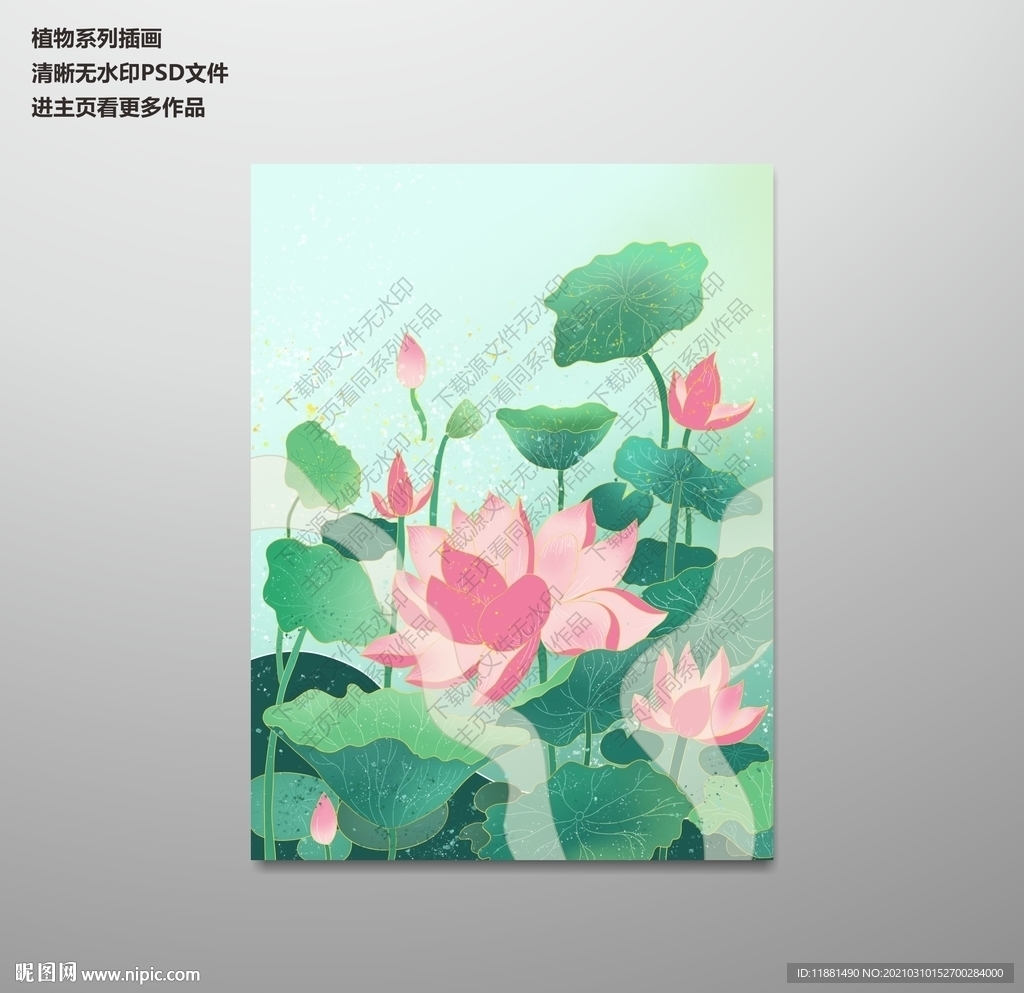 植物手绘素材荷花荷叶