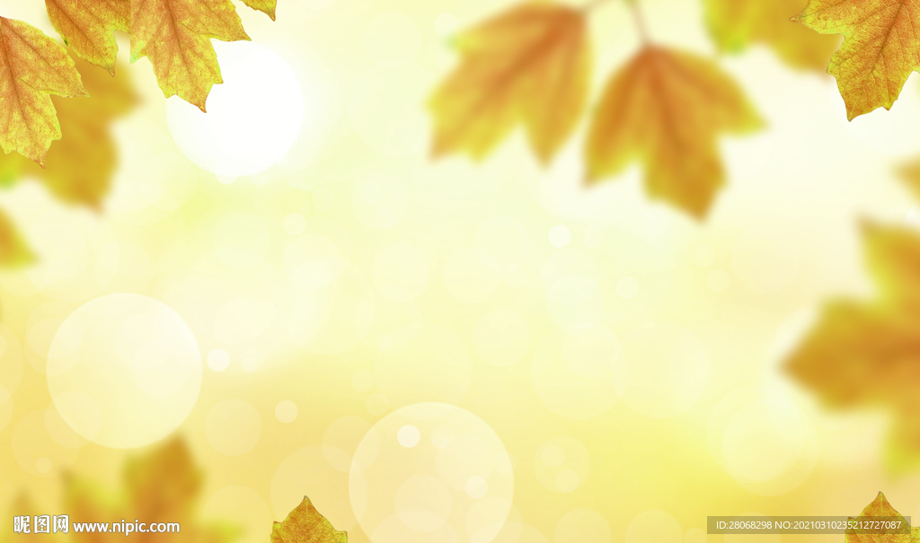 卡通装饰树叶背景