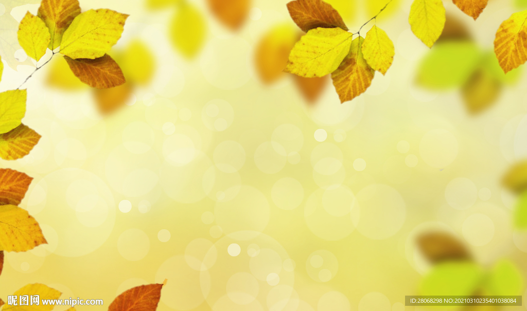 卡通树叶装饰叶子背景