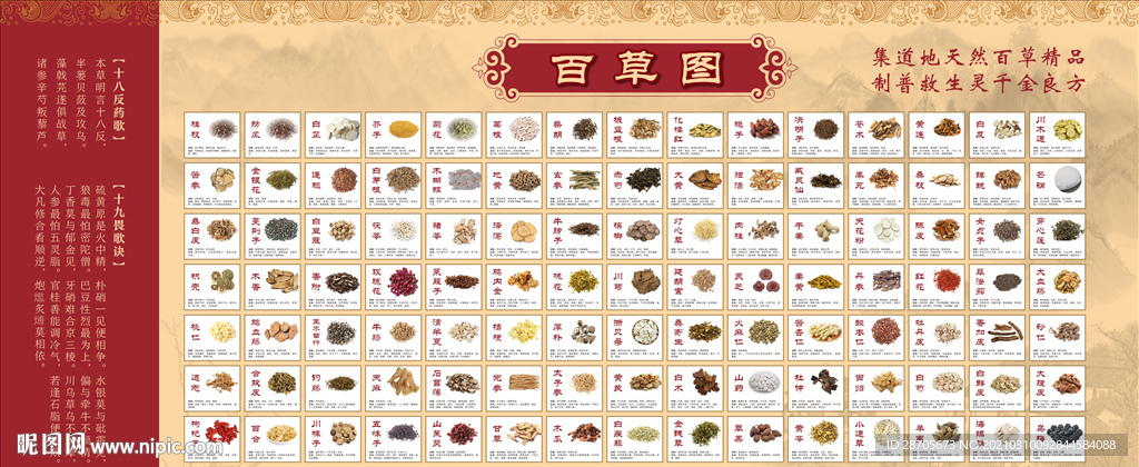 中医百草图
