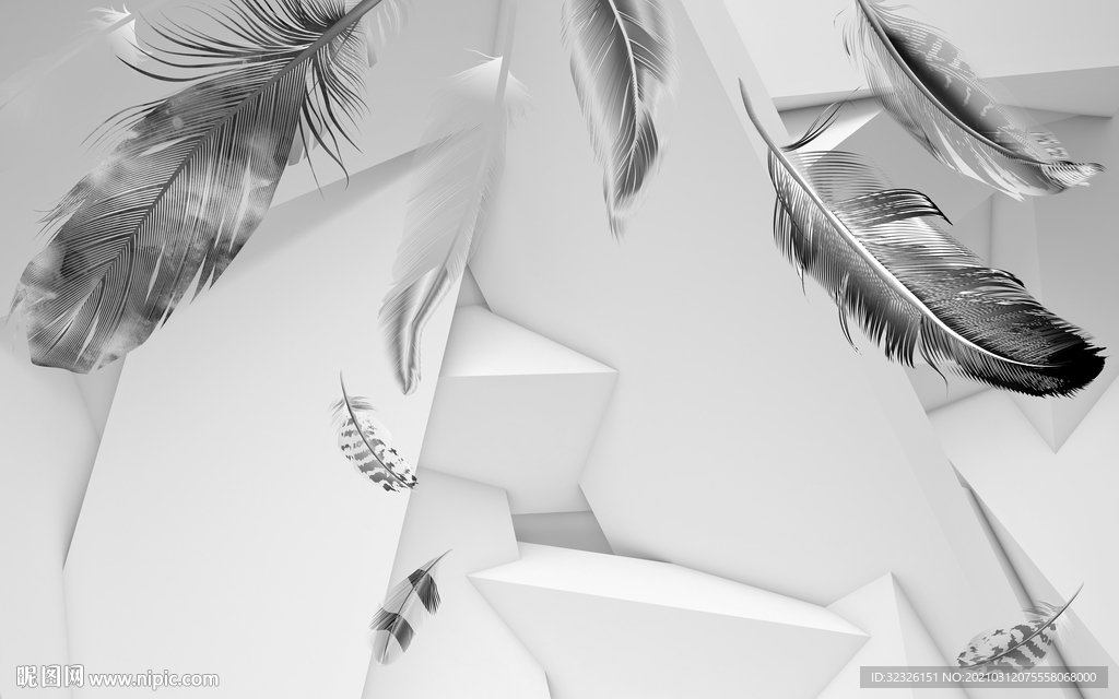 羽毛灰色装饰画 TIF分层
