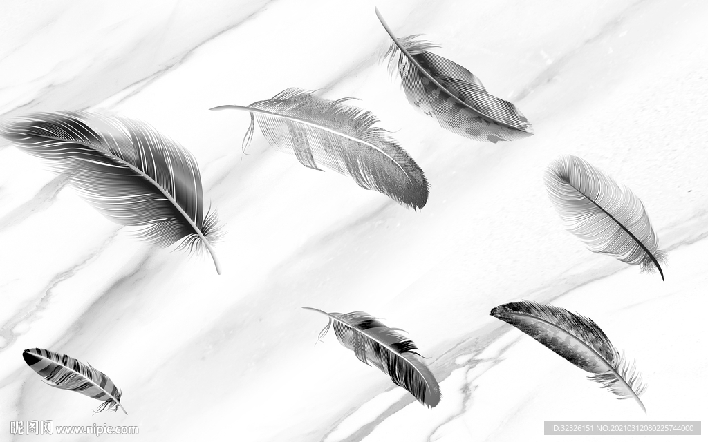 羽毛灰色装饰画 TIF分层