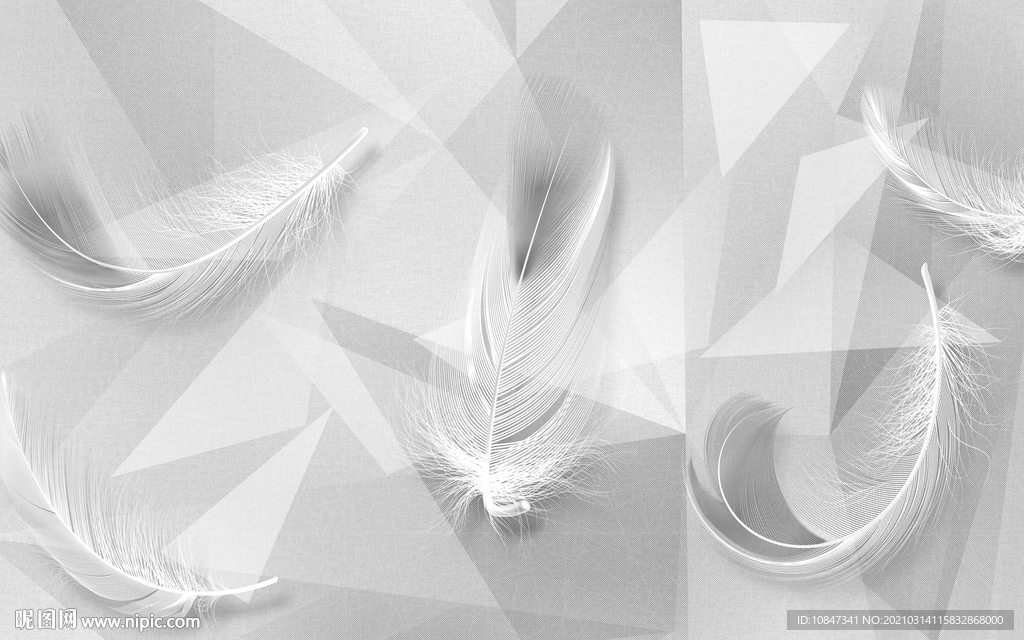 羽毛灰色装饰新画 TIF分层