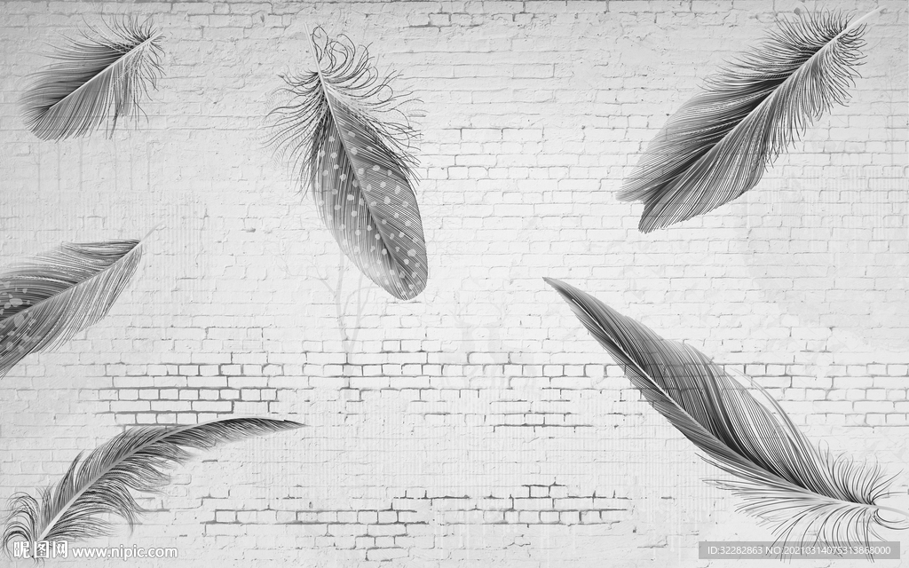 羽毛 新灰色背景墙 文件分层