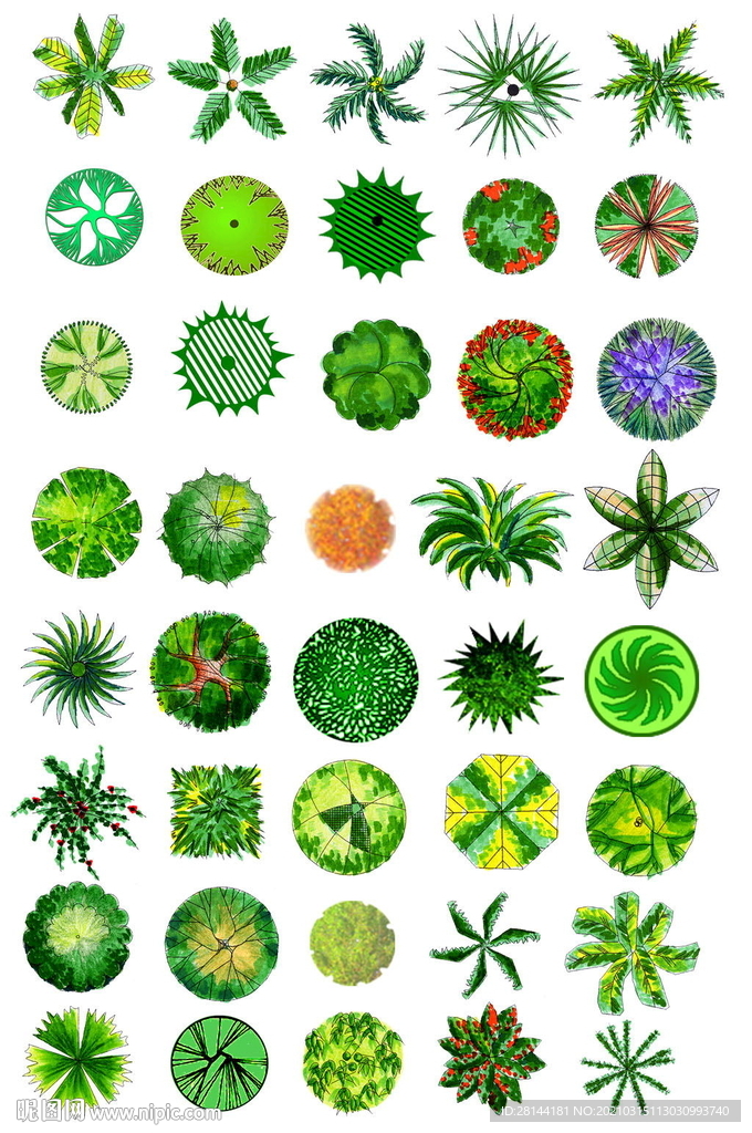 PS平面植物素材