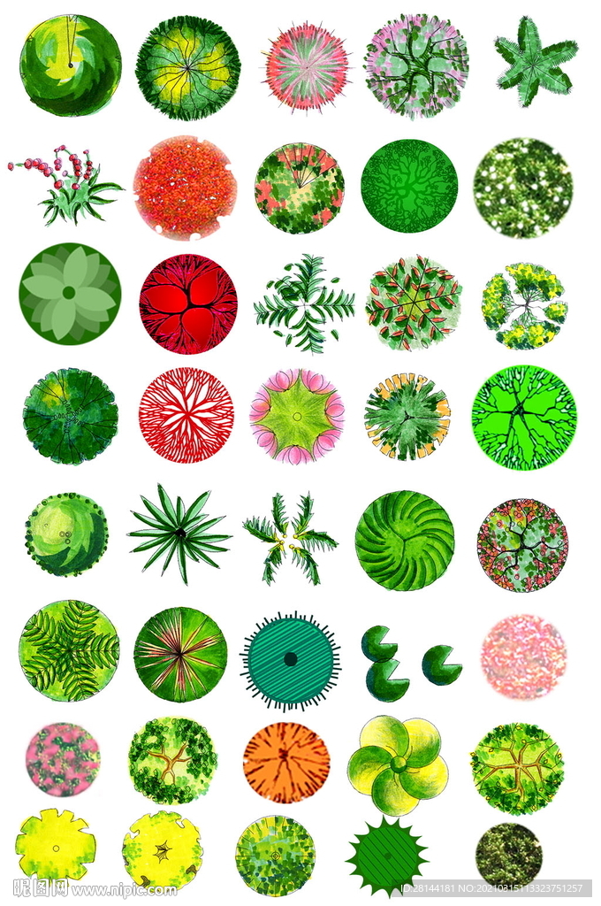 PS平面植物素材