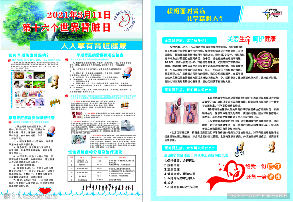 肾内科 单页 肾脏日