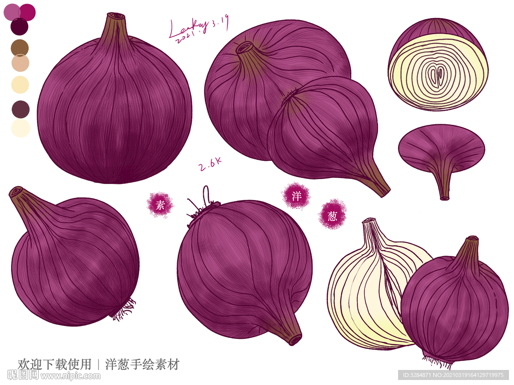 洋葱手绘素材
