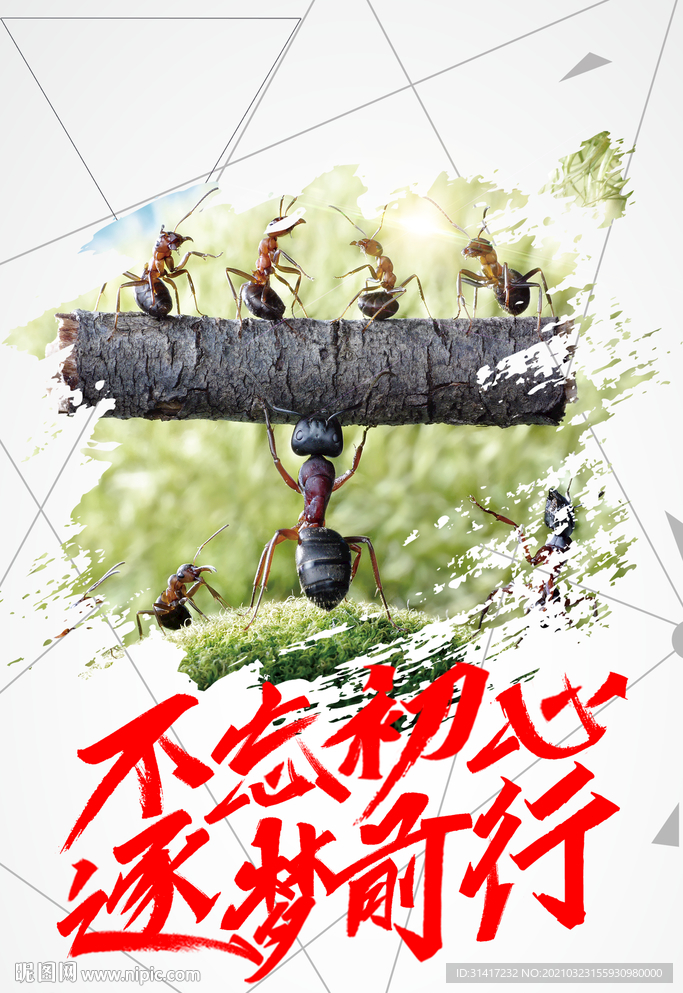 不忘初心 逐梦前行