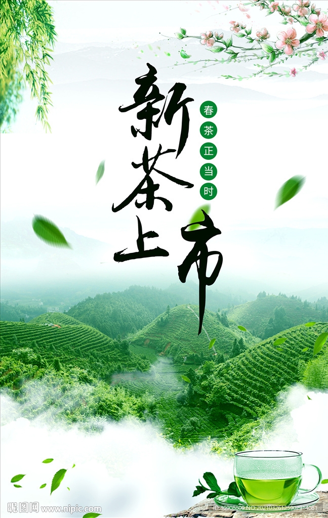 新茶上市