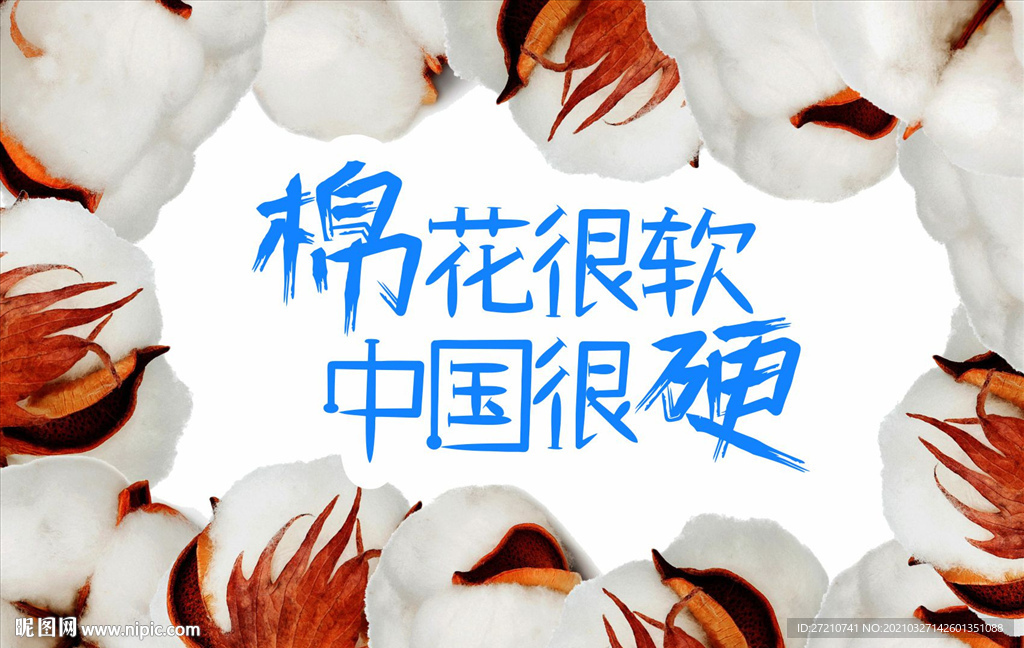 棉花很软中国很硬