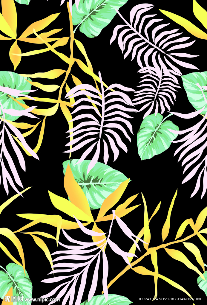 大牌 热带植物 叶子