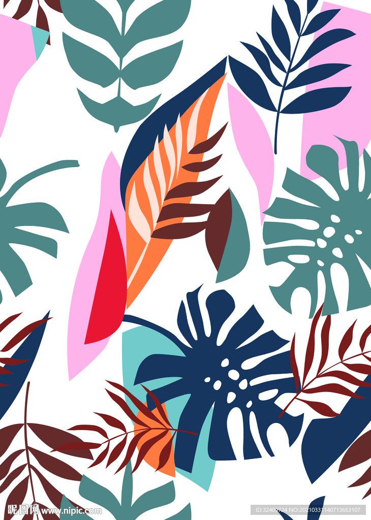 大牌 热带植物 叶子