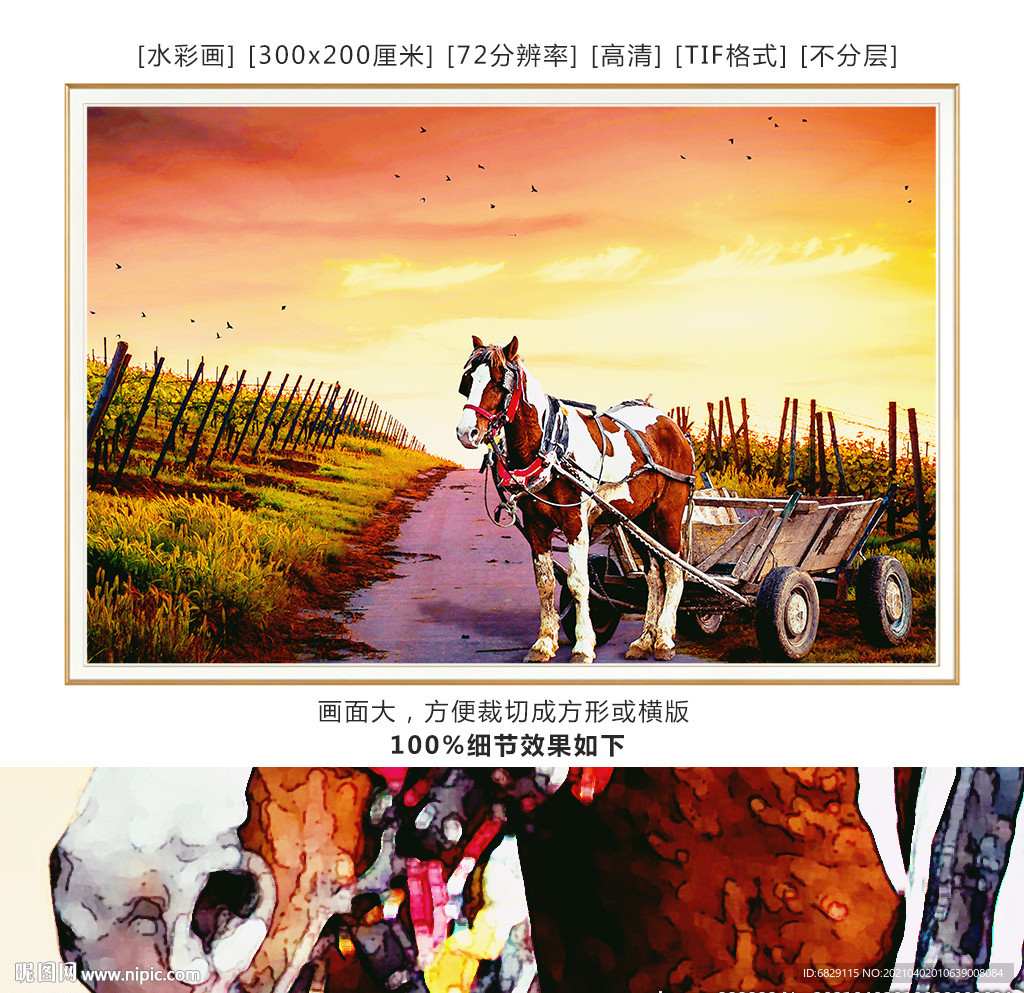 骏马水彩画 装饰画