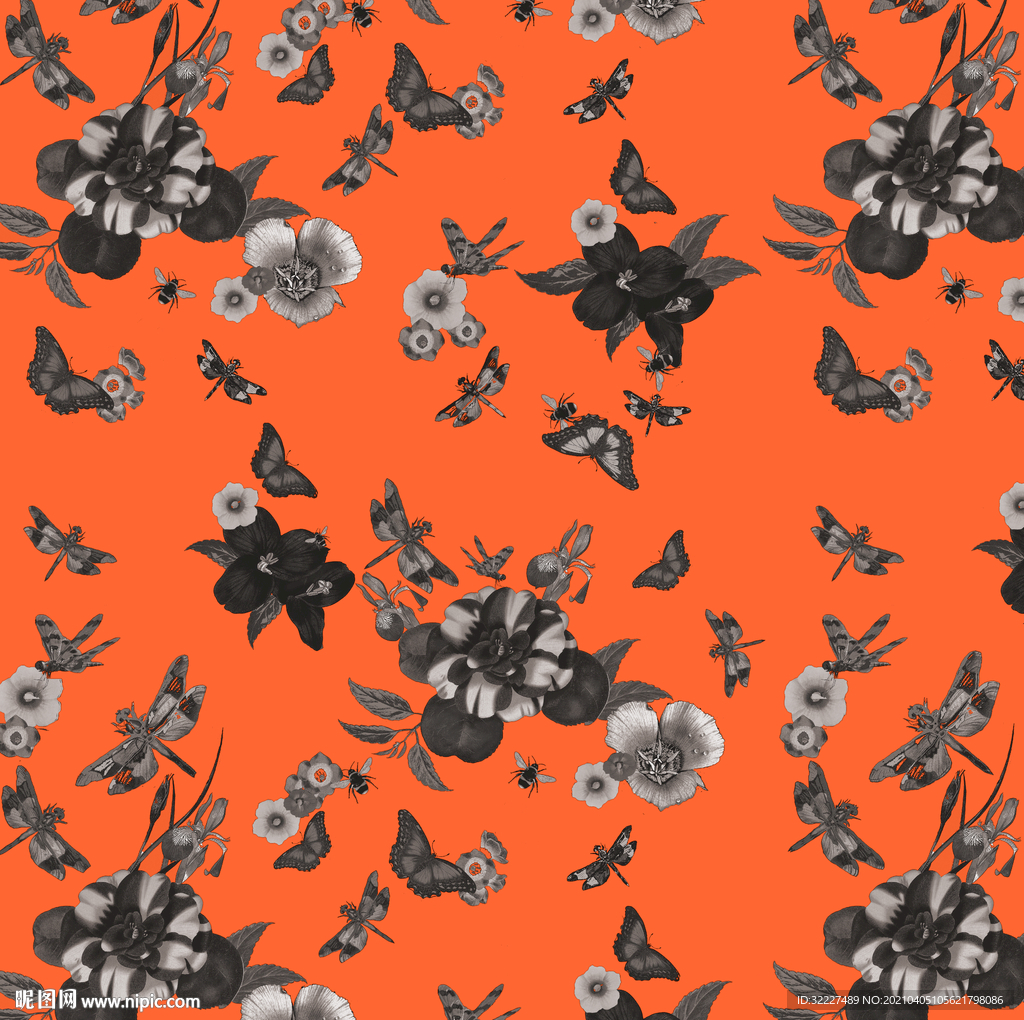 花朵 蝴蝶 蜻蜓