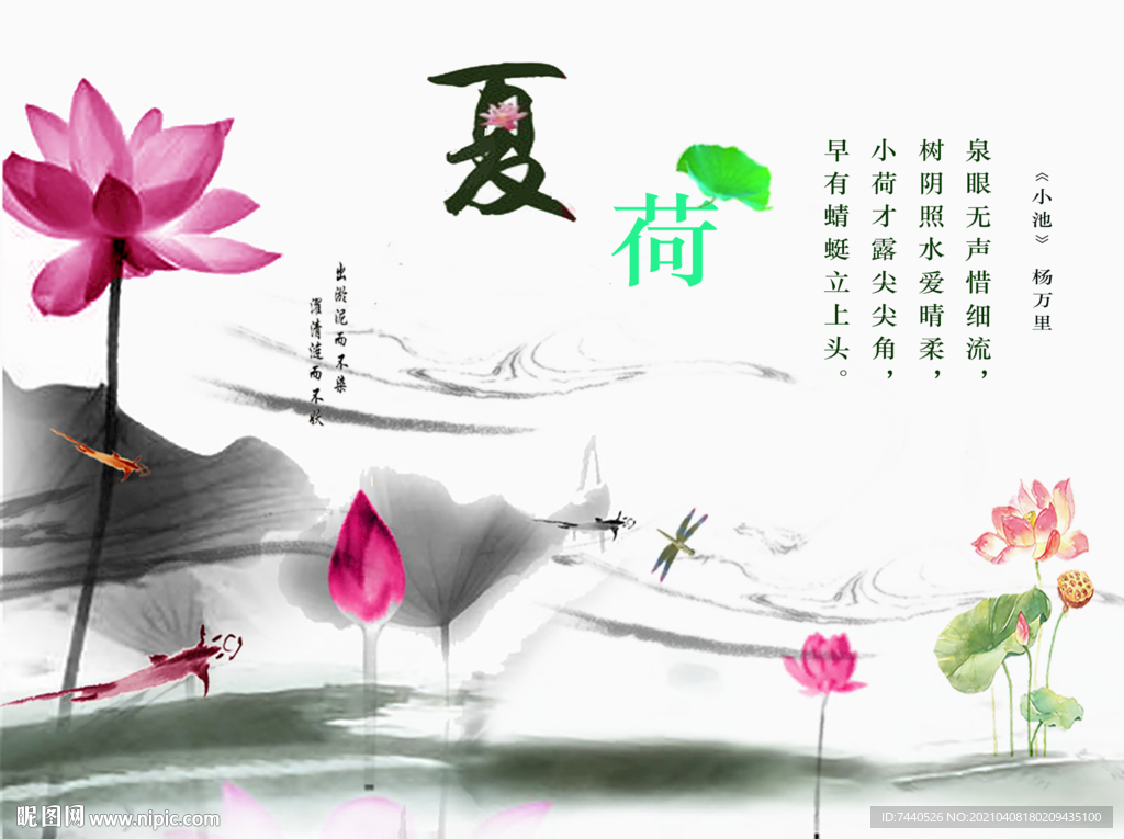 夏季荷花诗意图