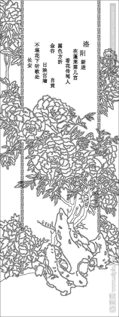 牡丹花矢量图 含效果图