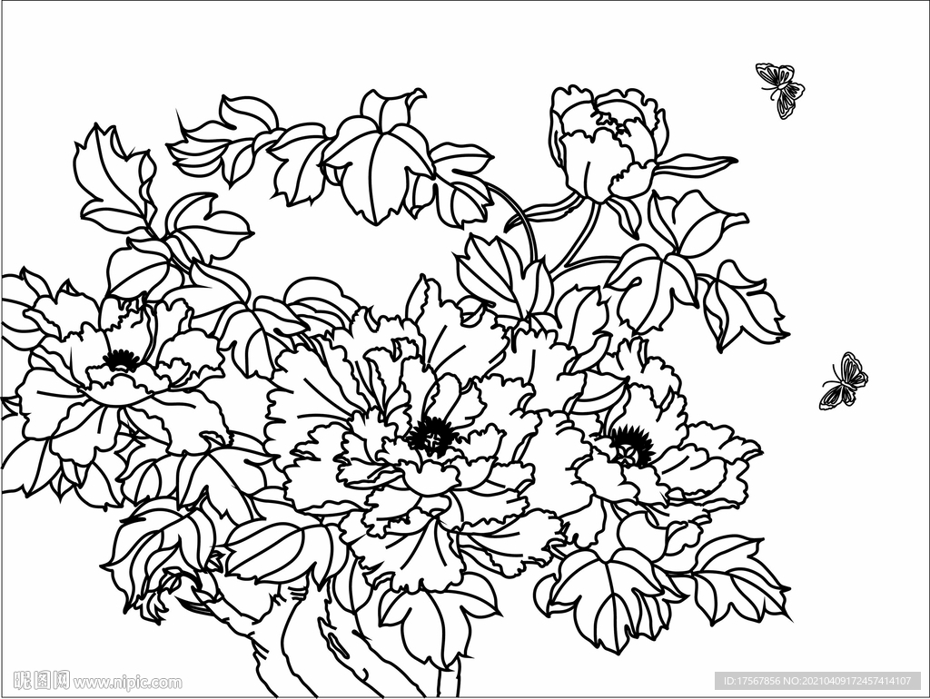 牡丹蝴蝶 带效果图 可商