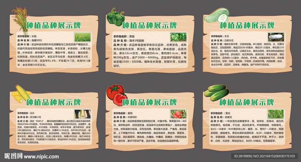 蔬菜简介展板