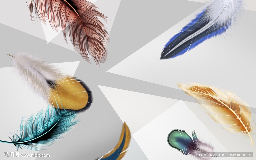 羽毛背景墙画