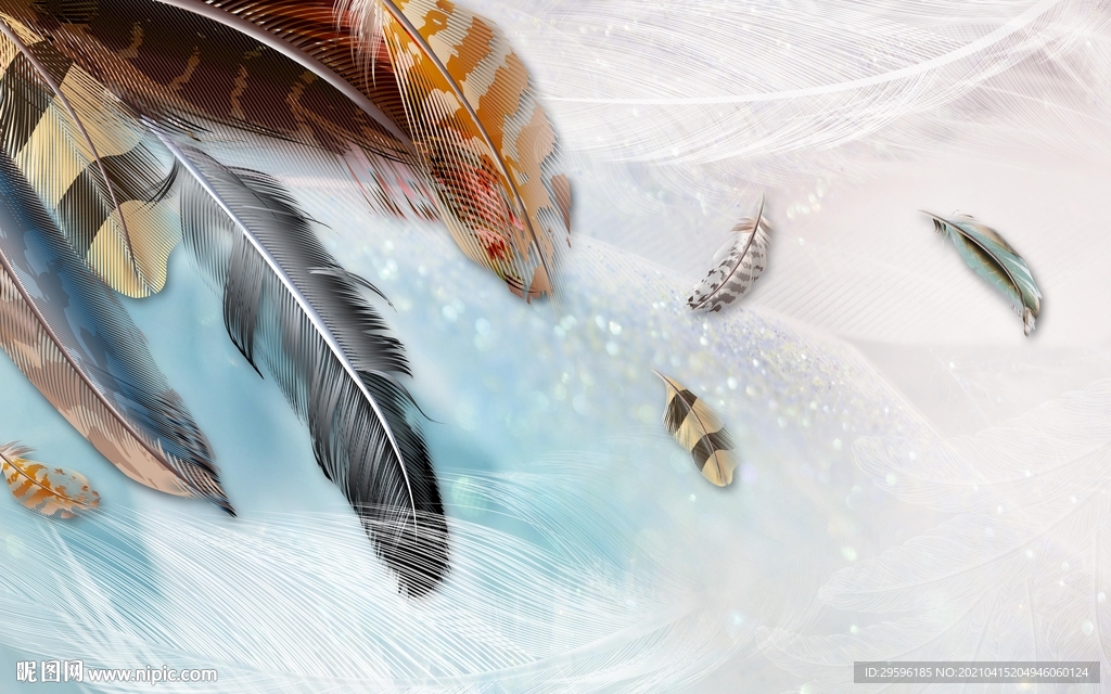 现代 羽毛装饰画