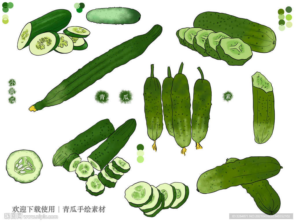 青瓜手绘素材