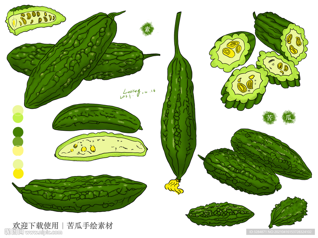 苦瓜手绘素材