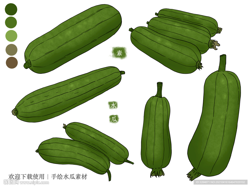 水瓜手绘素材