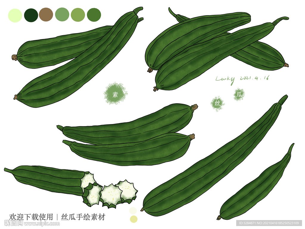 丝瓜手绘素材