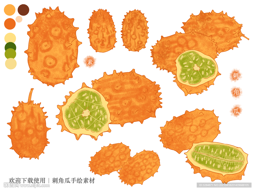 刺角瓜手绘素材