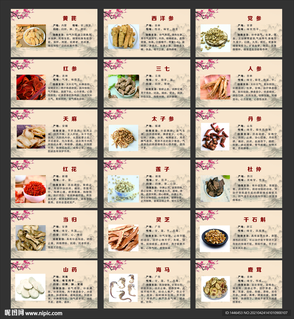 中药简介  中药大全