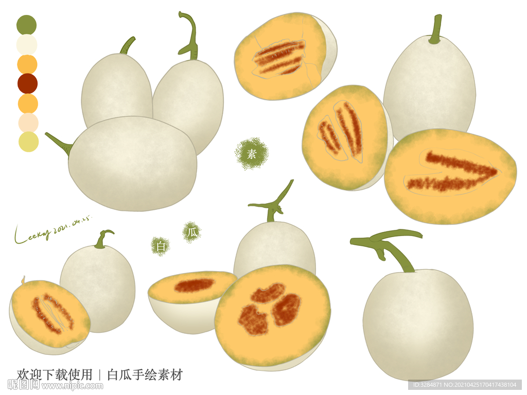 白瓜手绘素材