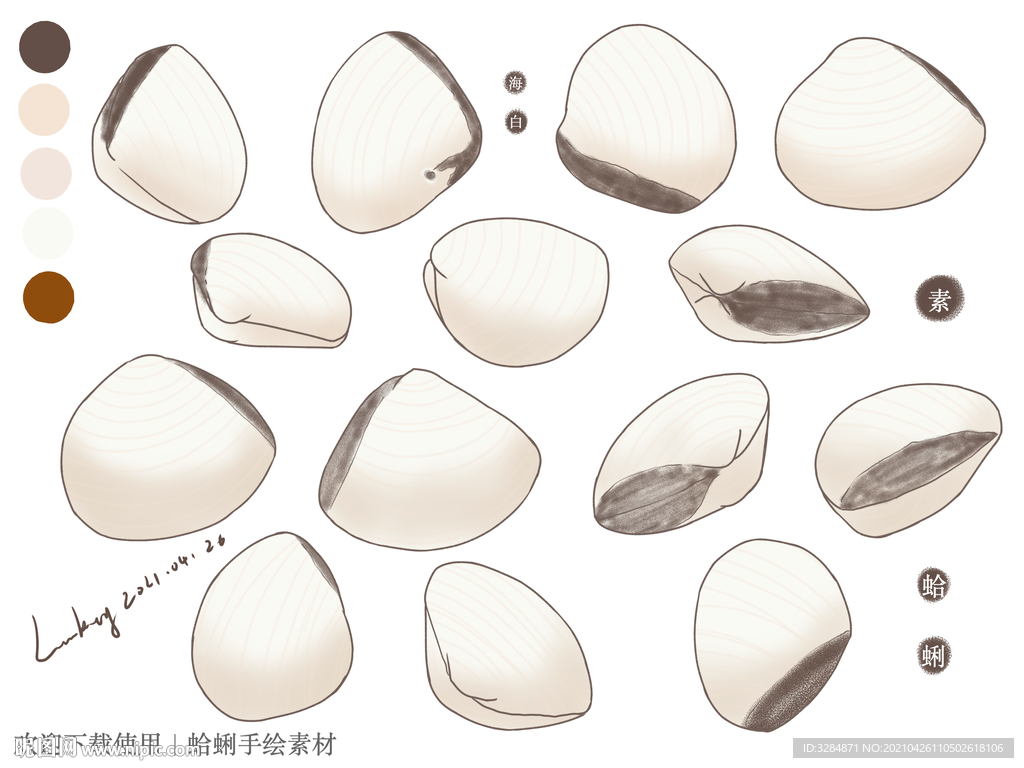 蛤蜊手绘素材