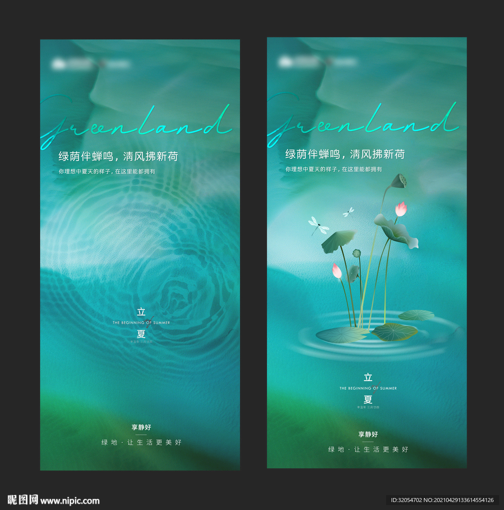 立夏 大暑  夏天 荷花 节气