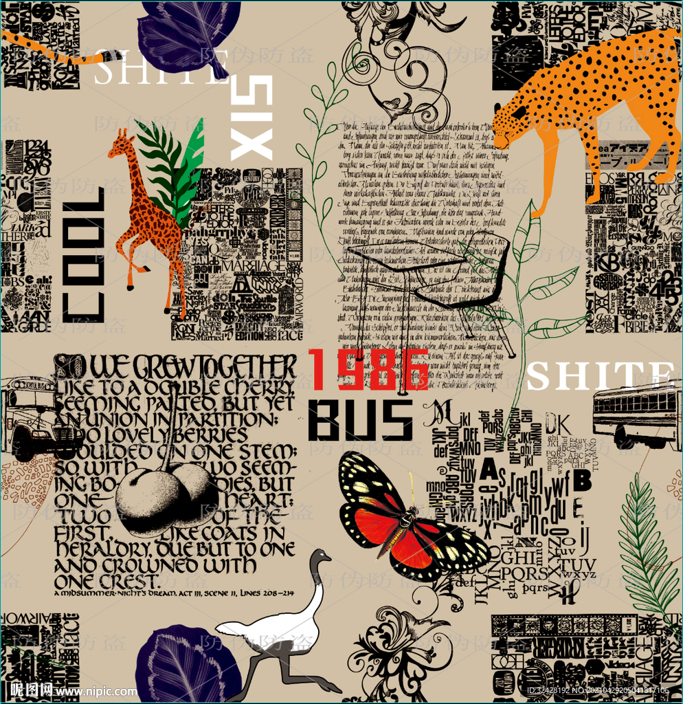 大牌女装 印花 高清分层