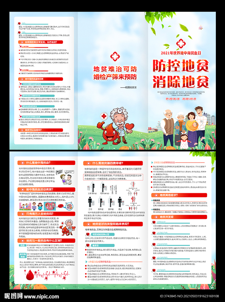 地中海贫血折页